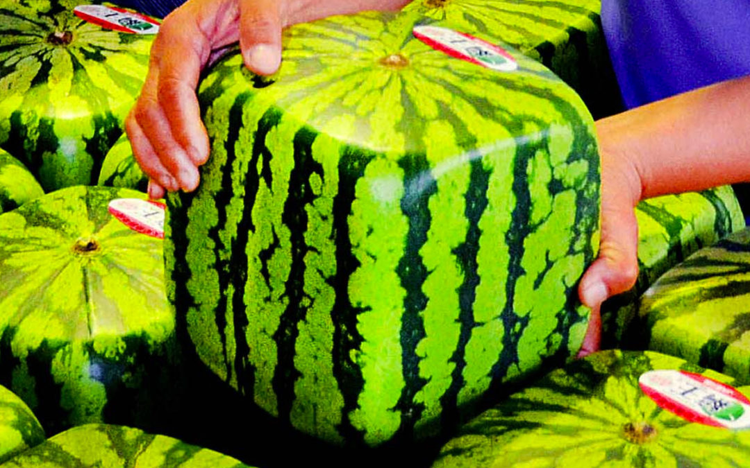 Square Watermelons and Red Cars