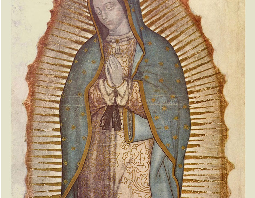 Do You Know the Secrets of the Tilma? Pondering the Deep Mysteries of Our Lady of Guadalupe on Her Feast Day
